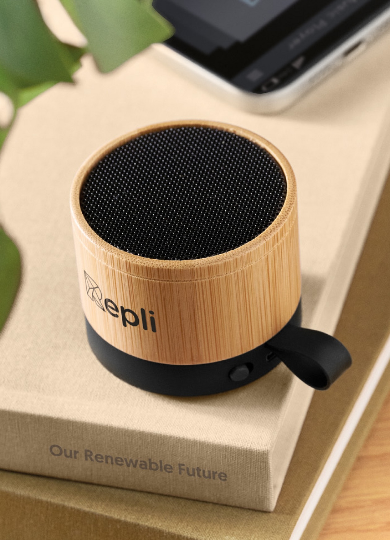 Bamboo branded speaker